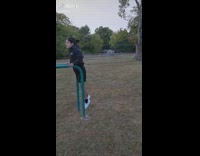 Girl swings on bars olympics