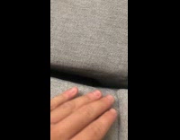 Cat lie down couch stares at camera