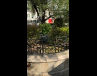 Guy feed flock of pigeons at park
