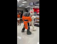 Elephant mascot dance off versus target dog mascot