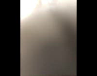 Grey cat pulls white shoelace brown carpet 