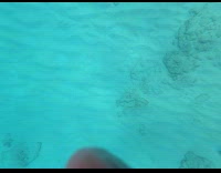 Collab BitchMP - Red octopus spins in air circle