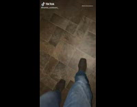 Dog catches guy sneaking into room