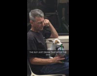 Small white dog drinking out of 711 cup