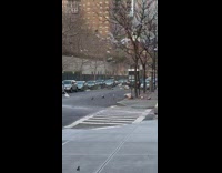Trash swirled by wind on street nyc