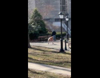 Two ladies dance in middle of park