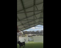 Girl throw ball bounce off the ceiling