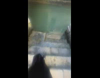 Girl slips on stairs into canal