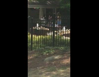 Four women dance tiktok water fountain