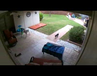 Blue shirt girl large fire backyard fail 