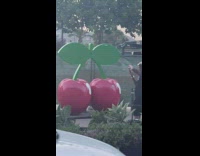 Woman pink shirt backpack IBIZA sign photoshoot
