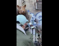 Photographer works with rat guy 