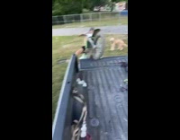 Man tries to climb onto truck with motorcycle