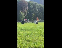 Guy photoshoot with his friend at the park in the afternoon at NY 