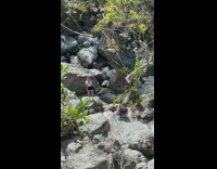 Woman white shirt peace sign pose photo shoot