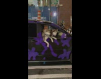 Two husky dogs hanging out the window of van