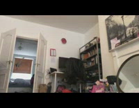 Slow motion cat jump chase feather bait