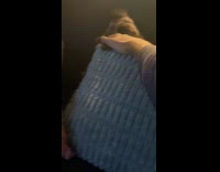 Dog likes to bite owner calls piranha