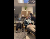 Dentist bumps husbands head with operating light