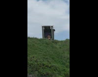 Woman in bikini tiktok dance in front of abandoned hut