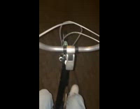 Man saw sleeping chicken on top of bushes 