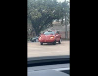 Red car customized with face of Hippopotamus