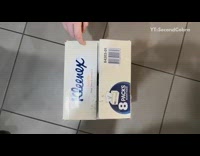 Cat inside empty cardboard box jumps up