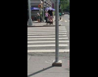 Black shirt guy pig pink leash crosswalk 