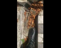 Submitter steps on dried leaves asmr sound