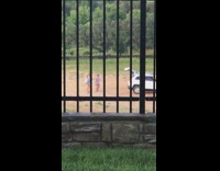 Four women tiktok dance back of car