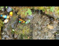 Filmer picked up bottled drink from a small river