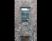 Meats dangling down apartment window