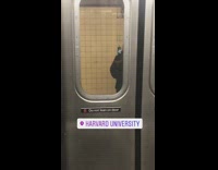 Guy watched video on hanging phone 