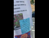 Series of notes taped pole plant thief 