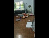 Pet dog humps a big stuffed toy in the living room