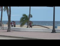 Woman pink bikini sit bended tree pictorial