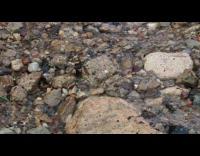 Camera filter adjusted to the water current