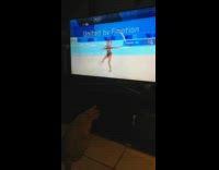 Cat watch touch TV ribbon gymnastics olympics