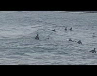 Wetsuit guy in ocean rides surfboard backwards 