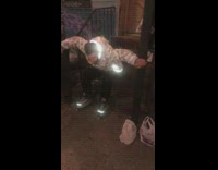 Reflective jacket roller skates fall on sidewalk