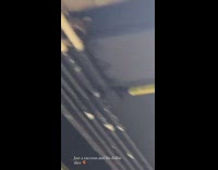 Raccoon blue ceiling beam pizza subway station 