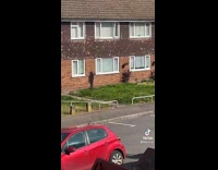 Black silhouette shadow on brick building