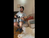 Guy black white electric guitar cat meows