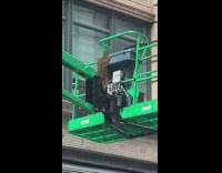 Swarm of honey bees on a bucket truck 
