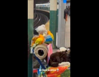 Animals on colorful cart at the subway