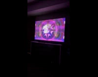 Dog on sofa stare at cat rave meme