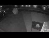 Collab BitchMP - Security camera run away umbrella