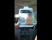 Man drunk and in a dinosaur costume that blocks the road