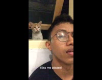Man Asks Cat for Kisses and Gets Bitten