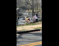 Woman sit pose white chair reflector creek